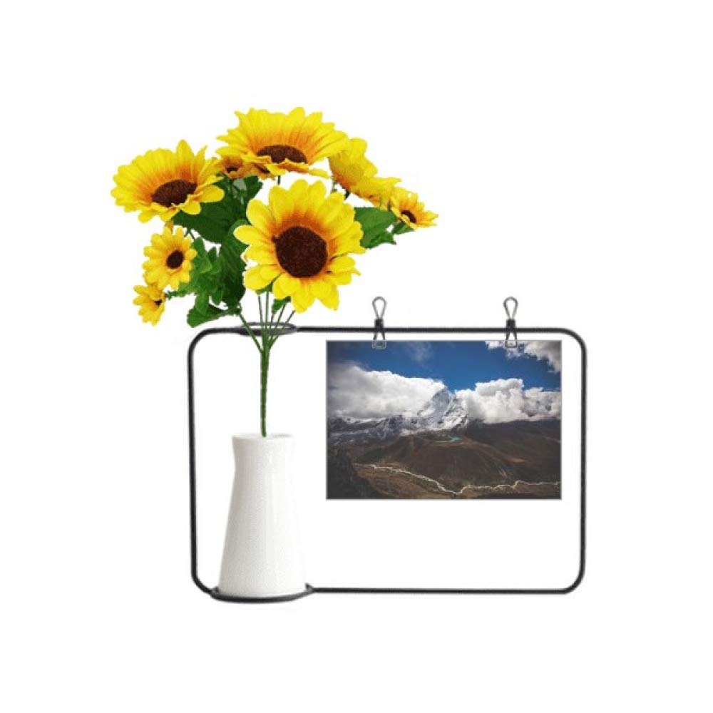 Tournesol artificiel en bouteille avec carte de bénédiction pour un cadeau nature original