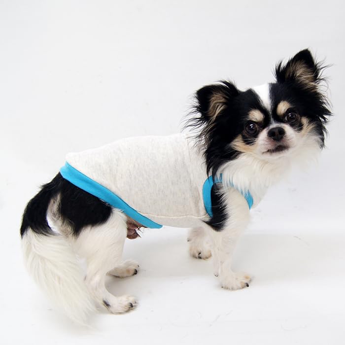 Amazon | 犬服工房タンクトップ型紙 フレンチブルドッグ FS/FM/FL