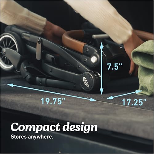 Image of Graco Gomax Frame Stroller, Accepts All Graco Infant Car Seats, Backpack Style Lightweight Travel Stroller Frame