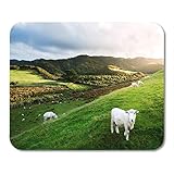 Die hohe Qualität macht dieses Mousepad zu einem Allrounder: im Büro oder für Spieler zum Spielen - all dies ist möglich.