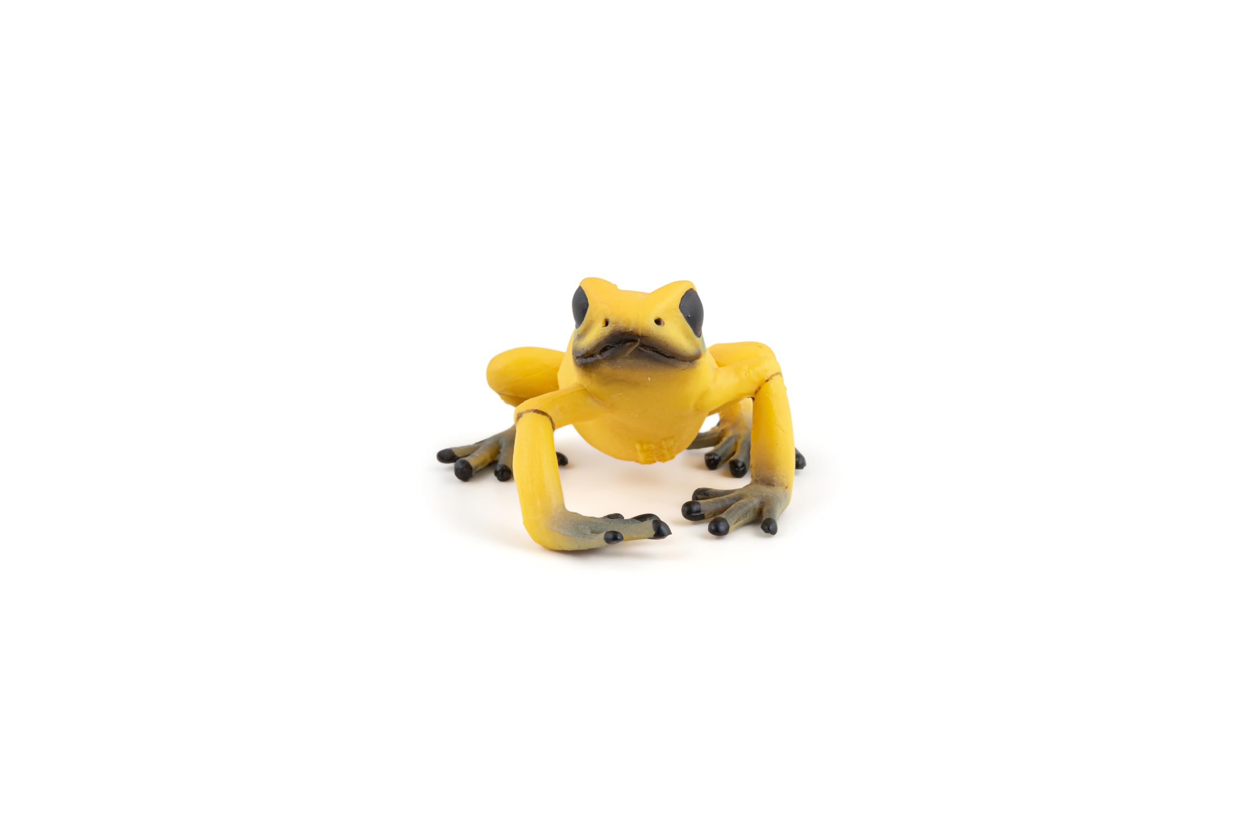 Amazon | Papo(パポ) ヤドクガエル(黄) PVC PA50174