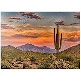 MyPuzzle Sunset in The Sonoran Desert Near Phoenix, Arizona - Premium 1000 Piece Jigsaw Puzzle for Adults