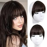 XIXISNOW Clip in Bangs 100% Real Human Hair Extensions Invisible Fake Curtain Curved French Fringe Bang with Temples Faux Natural Clips on Hairpieces for Women Girls Party Daily Use Dark Brown