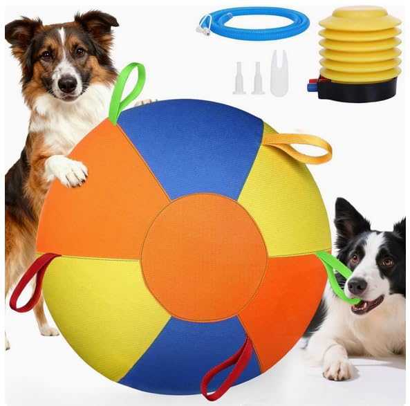 Ballon de football pour chien résistant aux morsures avec pompe incluse