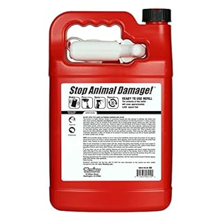 Squirrel Stopper Repellent Spray - Chipmunk & Squirrel Deterrent for Bird Feeders, Garden & Homes - Weather-Resistant Formula - Scent, Taste & Touch Barrier - Safe Around Kids & Pets - 1 Gallon