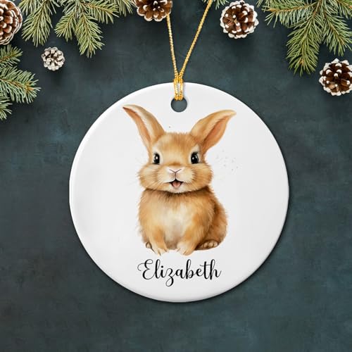 Rabbit Ceramic Ornament Christmas 2025, Personalized Rabbit Animal Ceramic Ornament Xmas Tree, Cute Rabbit Bunny Ornament Gift for Christmas Birthday Kid Child, Custom Name Rabbit Lover Ornament Gift