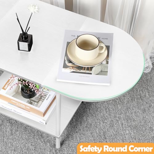 White Coffee Tables for Living Room,2-Tier Small Coffee Table Industrial Modern Oval Center Table with Storage Shelf and Wood Tabletop,for Small Space,Home Office