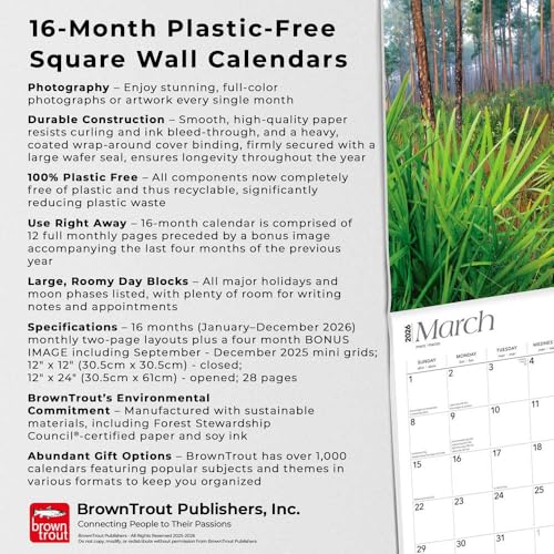 National Parks | 2026 12 x 24 Inch (Hanging) Monthly Square Wall Calendar | Plastic-Free | BrownTrout | Scenic Yosemite Yellowstone Nature - image 6