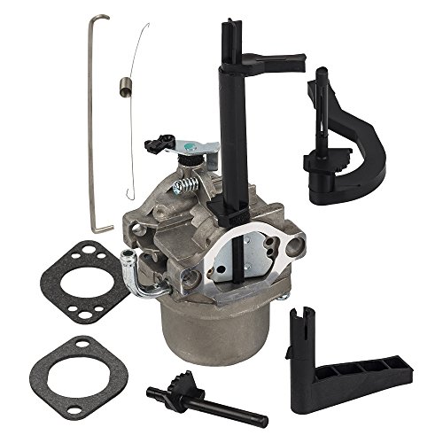 Best Carburator For Briggs And Stratton 205412
