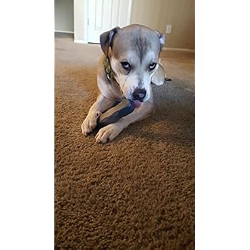 indestructibone coupon