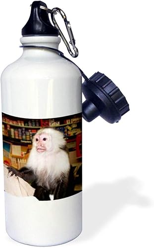 3dRose Capuchin Monkey in Store - Botella de agua deportiva, 21 onzas, color blanco