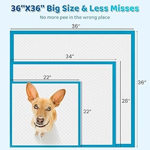 Upgrade Leakproof Pet Training and Puppy Pads Jumbo 36x36 Pee Pads for Dogs with Thicken Polymer Heavy Absorbency Quick Dry Disposable Pee Pads for Cats Dogs Rabbit Parrots Cucciolini Doodles Upgrade leak proof pet training and puppy pads jumbo 36x36 pee pads for dogs with thicken polymer heavy absorbency quick dry disposable pee pads for cats dogs rabbit parrots cucciolini doodles