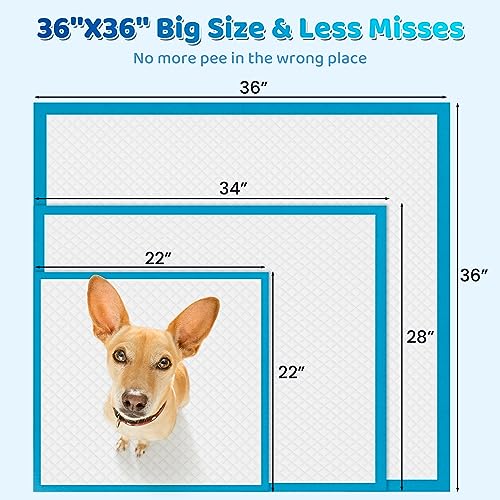 Upgrade Leakproof Pet Training and Puppy Pads Jumbo 36x36 Pee Pads for Dogs with Thicken Polymer Heavy Absorbency Quick Dry Disposable Pee Pads for Cats Dogs Rabbit Parrots Cucciolini Doodles Upgrade leak proof pet training and puppy pads jumbo 36x36 pee pads for dogs with thicken polymer heavy absorbency quick dry disposable pee pads for cats dogs rabbit parrots cucciolini doodles