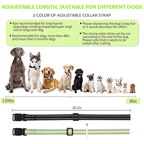 Connete Auto Citronella Bark Collar For Dogs, [No Include Spray] Spray Dog Training Collar, Humane Barking Collars, Safer Anti Control L/M/S Dogs #TOP4