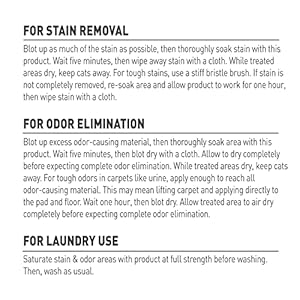 Naturesmiracledogoxysetinstaindestoyer  Urban Country Home Decor Natures miracle dog oxy set in stain destoyer  urban country home decor