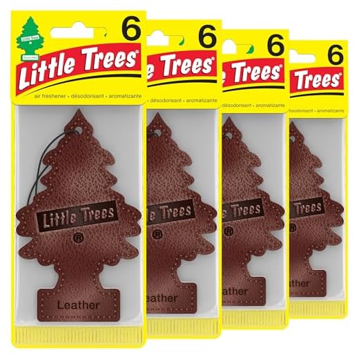 LITTLE TREES Car Air Freshener | Hanging Tree Provides Long Lasting Scent for Auto and Home | Leather, 24 Air Fresheners