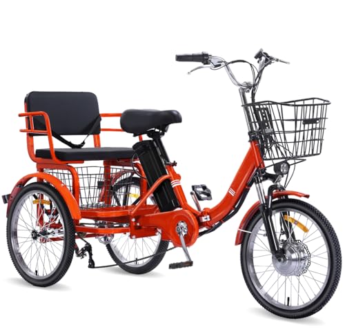 Ontrip Two Seater Folding Etrike