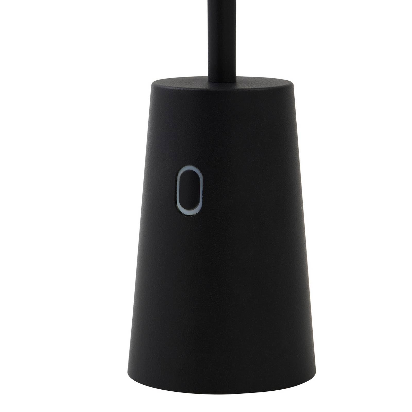 Lindby LED Luminaire de terrasse Noelani à intensité variable (Moderne) en Noir (1 lampe,à)