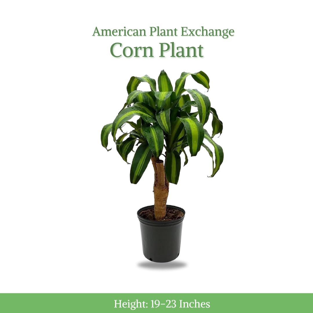 artificial fiddle leaf fig trees Kate and Laurel Fidmont Faux Fiddle Fig Tree - 6ft