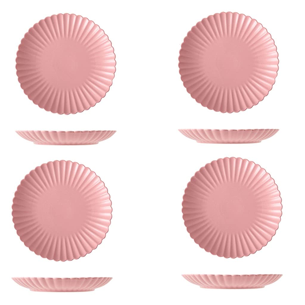 NZPOST Dinner Plate Ceramic Plates Sets 10Inch Set Of 4, The Salad Steak Dessert And Appetizer Dinner Plat