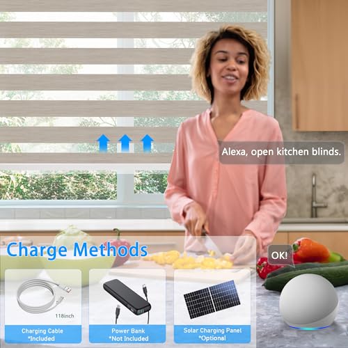 Image of Motorized Zebra Blinds Custom Size Smart Dual Layer Shades for Windows with Remote | Assembled in USA | Electric Day and Night Privacy Light Filtering Rechargeable Quiet Motor Window Shades