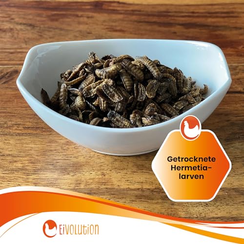 eivolution Soldatenfliegenlarven Getrocknet 2,5 kg - Hühnerfutter