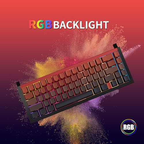Image of Wireless Mechanical Gaming Keyboard, 65% Layout RGB Custom Keyboard - Ghost | Aluminum Alloy Black Frame with Red Gradient Keycaps, Pre-Lubed Hot-Swappable Linear Ghost Switches