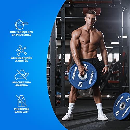 BioTechUSA Beef Protein | Peptides de bœuf hydrolysés, 87% de protéines – vue 3