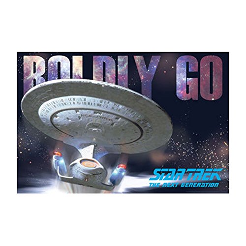 Picture Peddler Laminated Star Trek Next Gen Boldly Go Enterprise Ship Poster 24x36 inches