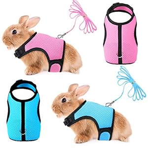 2 Pieces Bunny Rabbit Harness with Leash Cute Adjustable Buckle Breathable Mesh Vest for Kitten Puppy Small Pets Animal Walking Accessories
