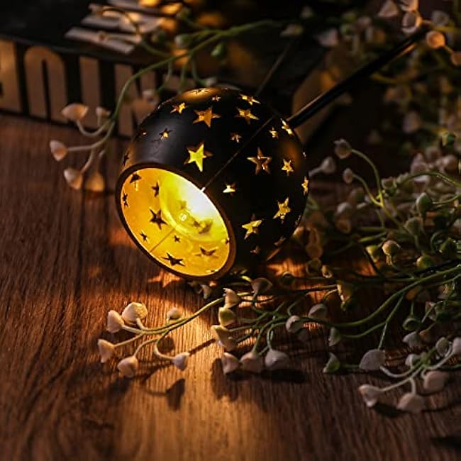 Lantern String Lights with 10 Clear G40 Bulbs and Star Plastic Lamp Shades, Indoor Outdoor String Lights for Patio Yard Christmas Decor