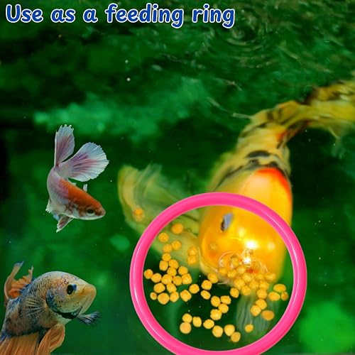 Image of Betta Ring Enrichment Toys with Filter Ball set, Turtle Water Cleaner Ball, Aquarium Feeding Ring with Nitrifying Balls, Betta Fish Toy, Aquatic Turtle Enrichment Toy, Tortoise Supplies (Pink, M-70mm)