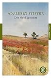 Der Nachsommer: Roman (Fischer Klassik) - Adalbert Stifter