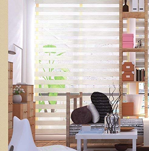 image for LUCKUP Horizontal Window Shade Blind Zebra Dual Roller Blinds Day and 