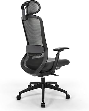 Seduna Ruben Plus Black Office Chair | Executive Chair (Black)