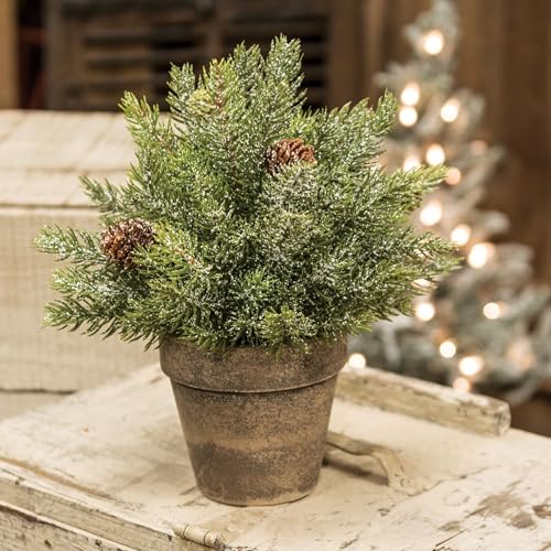 Frosted-Spruce-Sphere-wPot-9-Green Frosted Spruce Sphere wPot 9 Green