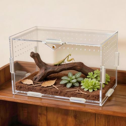 Image of Portable Travel Jumping Spider Enclosure, Acrylic Terrarium for Spider, Magnetic Lock Spider Habitat & Small Terrarium Ventilated for Tarantula,Mantis,Frog,Insect Enclosure cage (7.9x4.7x4.7 Inch)