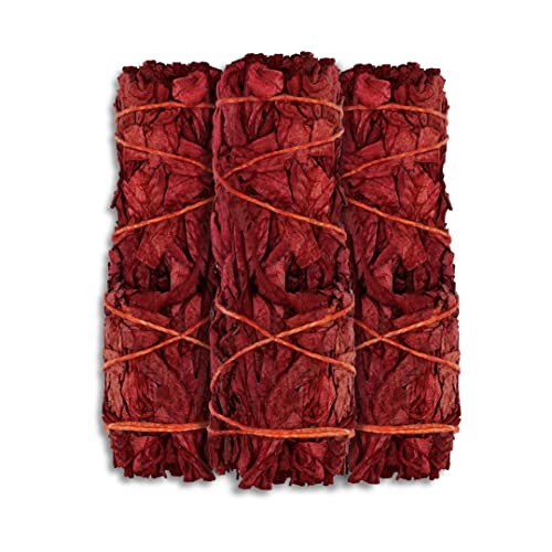 ESPOIR & AMOUR Dragon's Blood Sage - 3 Spiritual Sticks for Smudging, Healing and Ritual | Sustainably Harvested 4 Inch Red Sage Smudge Stick to Protect From Negativity