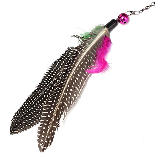Itplus Kitten Pet Toy Interactive Chaser Training Rod Cat Catcher Feather Wand Fishing Pole Teaser With Two Feather Refill Replacement (Style 1) #TOP3