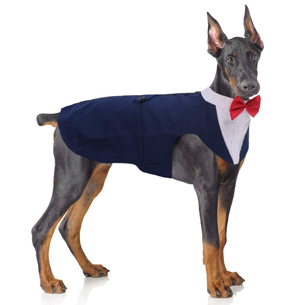PUMYPOREITY Dog Tuxedo, Cotton, Navy Blue, X-Large (Pack of 1), Formal Attire for Weddings, Birthdays, Christmas, Valentines
