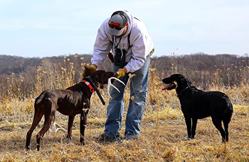 Dogbone Shed Dog Training System To Train Your Shed Dog #TOP5