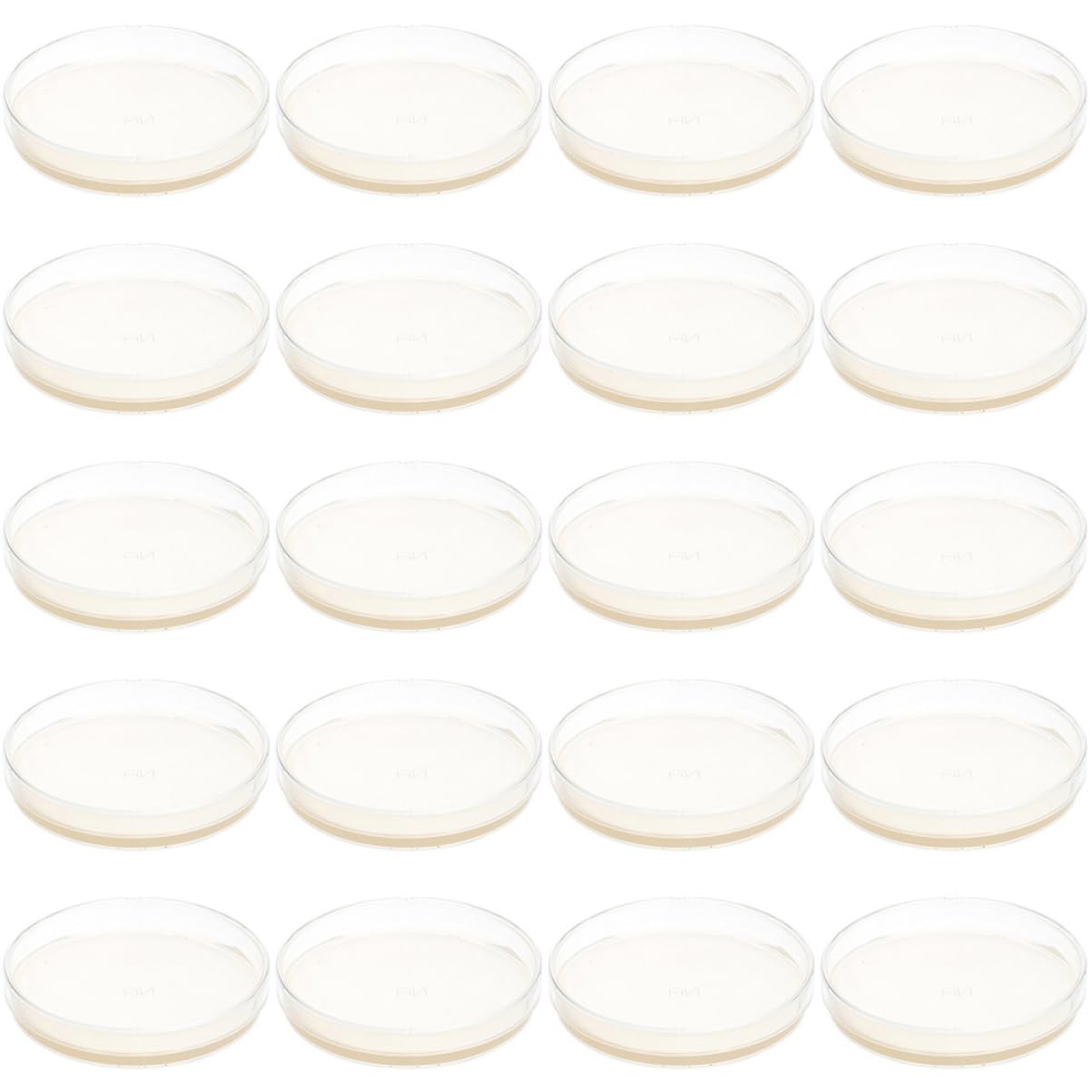 ULTECHNOVO 60piezas Placas De Petri Agar Nutritivo Prellenado Para Experimentos Científicos y De Microorganismos
