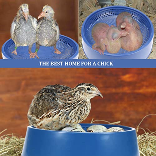 Image of 5 Pcs Plastic Pigeon Nest Bird Nest Bowls Pigeon Nest Bowl Breeding Hatching Nest for Pigeons Quails Breeding Hatching (Blue)