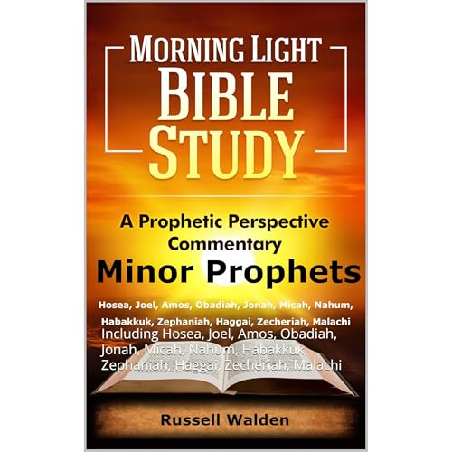 Minor Prophets Audiolibro Por Russell Walden arte de portada