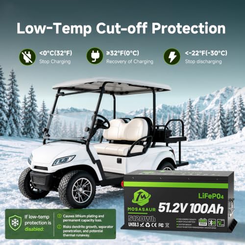 Image of 51.2V 100Ah LiFePO4 Lithium Golf Cart Battery -- Built-in 200A BMS, 58.4V 18A Charger, Bluetooth APP & LCD Display | 300A Peak & 5.12kWh Power, 4000+ Cycles & 3‑Year Warranty