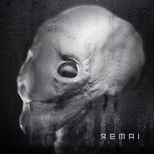  REMAI