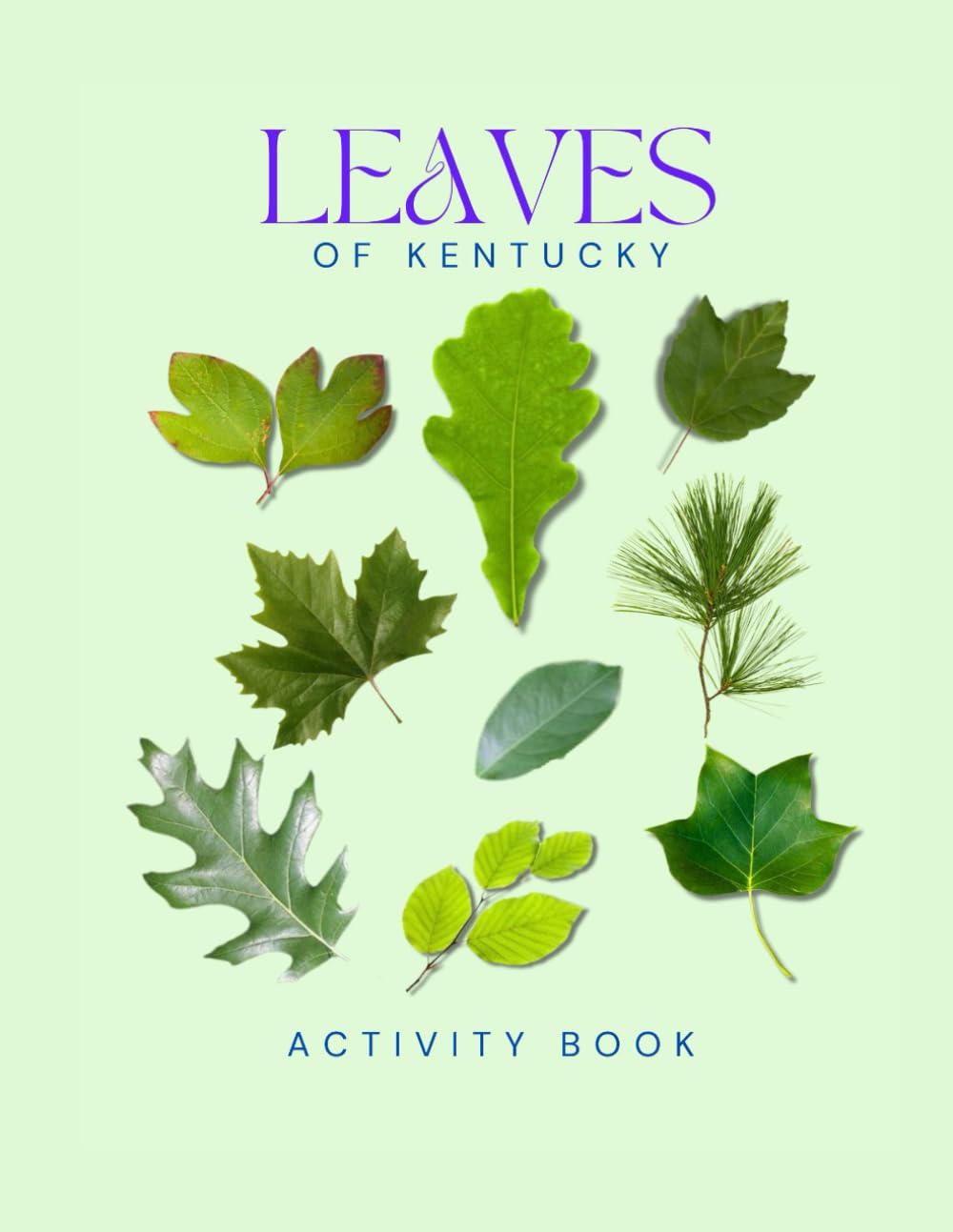 Leaves of Kentucky Activity Book: A Young Explorer's Field Guide to the Leaves and Trees of the Bluegrass State (Kentucky Nature Explorer Series)