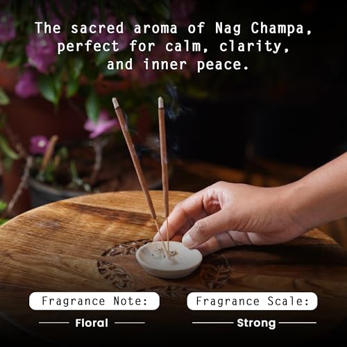 Image of NYASSA Highly Scented Nag Champa Agarbatti /Incense Sticks - 50g, Nag Champa Fragrance, Charcoal-Free Agarbatti for Pooja, Meditation, Home Freshness & Positive, Energy, Perfect for Special Occasions