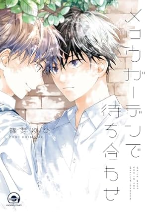 あしたあさってそれからいつか Amazon.co.jp: あしたあさってそれからいつか (キャラコミックス