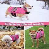 Spitze Hundeweste, Hundeschutzweste, wasserdichte Haustiergeräte, widerstandsfähig gegen Bisse von Vorwolfen und Anderen großen Hunden, geeignet für Katzen, Hunde und Kaninchen, rosa (M)